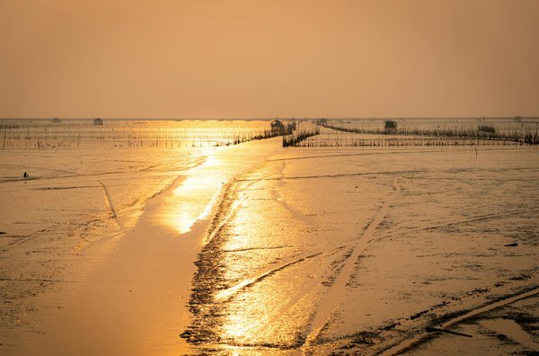 Où trouver des cours de cuisine éthiopienne à Addis-Abeba?
