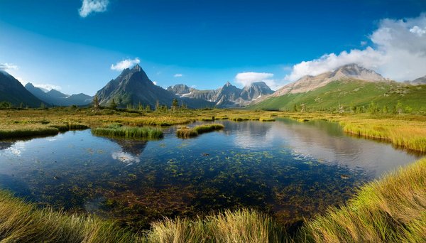 Comment découvrir les traditions de la culture Sami en Laponie?
