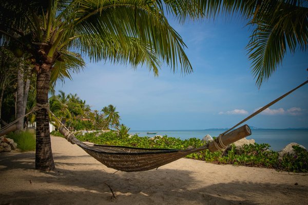 Où apprendre les techniques traditionnelles de la danse irlandaise : écoles et spectacles ?