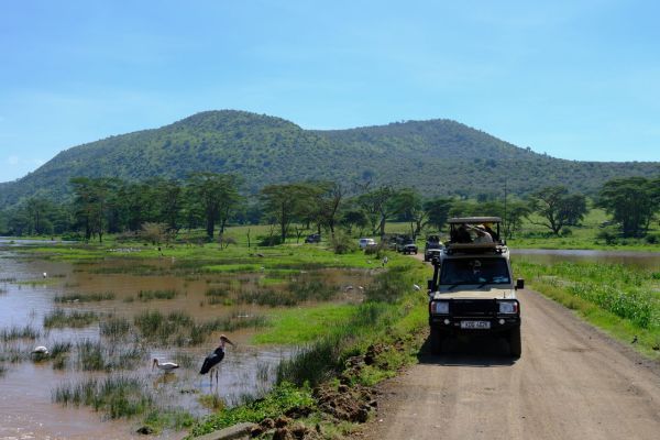 Comment visiter les parcs nationaux de Tanzanie sans guide?